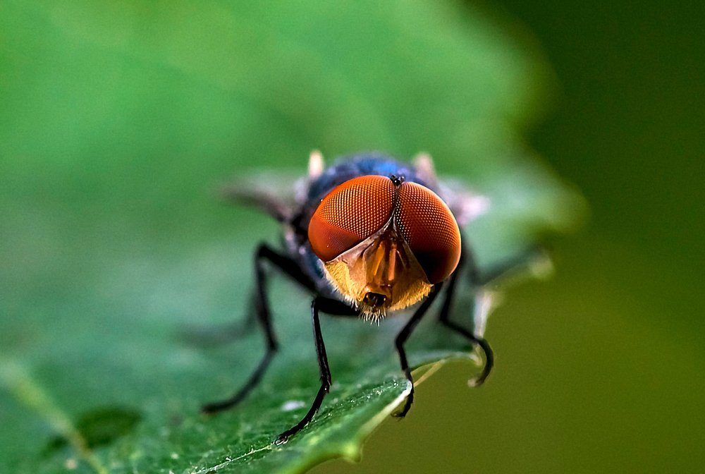Photograph by ziba alirezaei