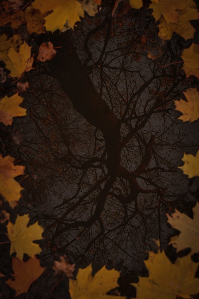 Photograph by Yulia Opanasyuk