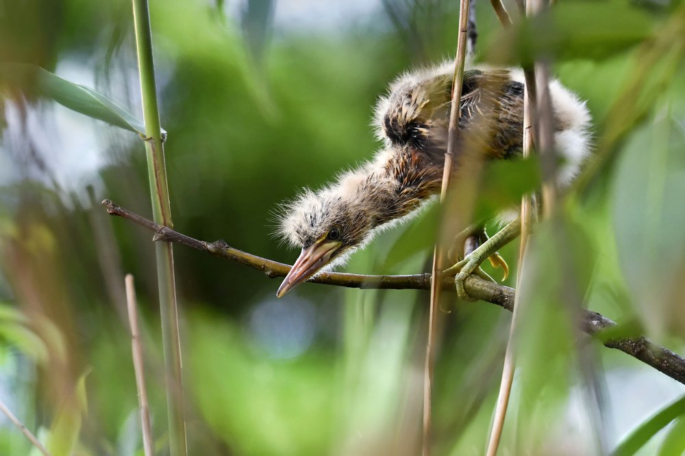 Photograph by Чернобай Анна