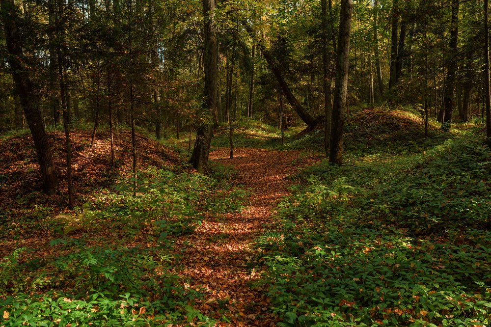 Photograph by Ксения Соварцева