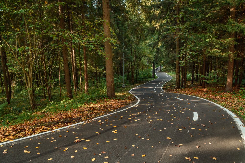 Photograph by Ксения Соварцева