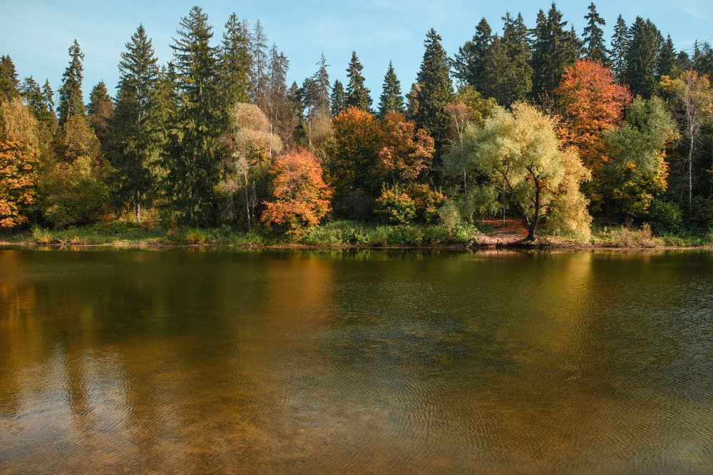 Photograph by Ксения Соварцева