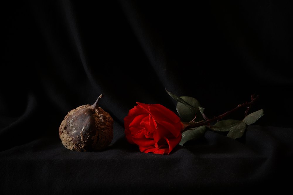 Красавица и чудовище