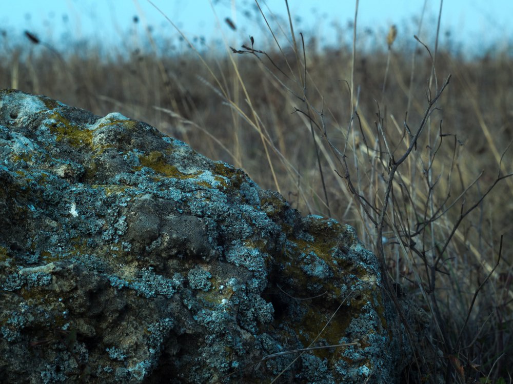 Photograph by Виталий Жгущий