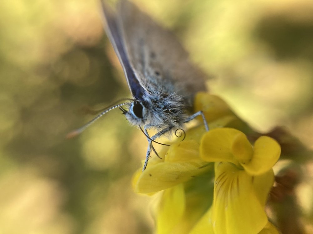 Photograph by Андрей Косяк