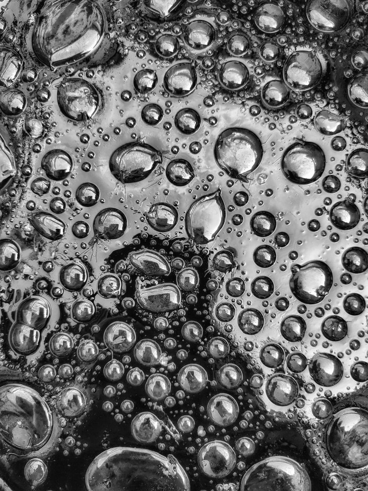 Photograph by Leanid Kulpo