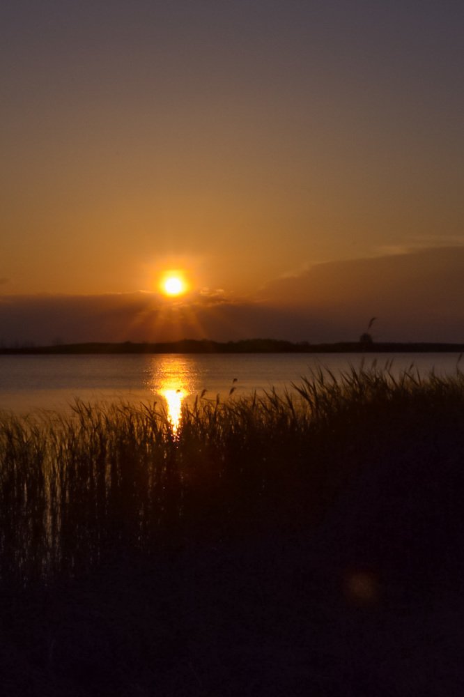 Photograph by Наталья Перерва