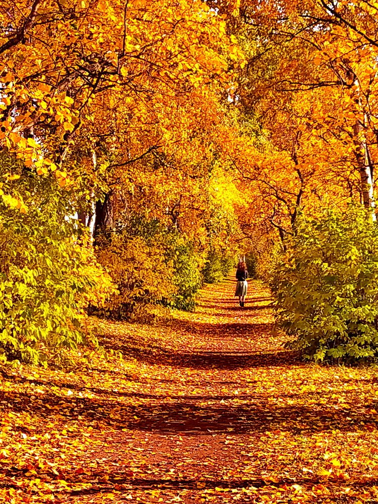 Гуляла по аллеям осень.