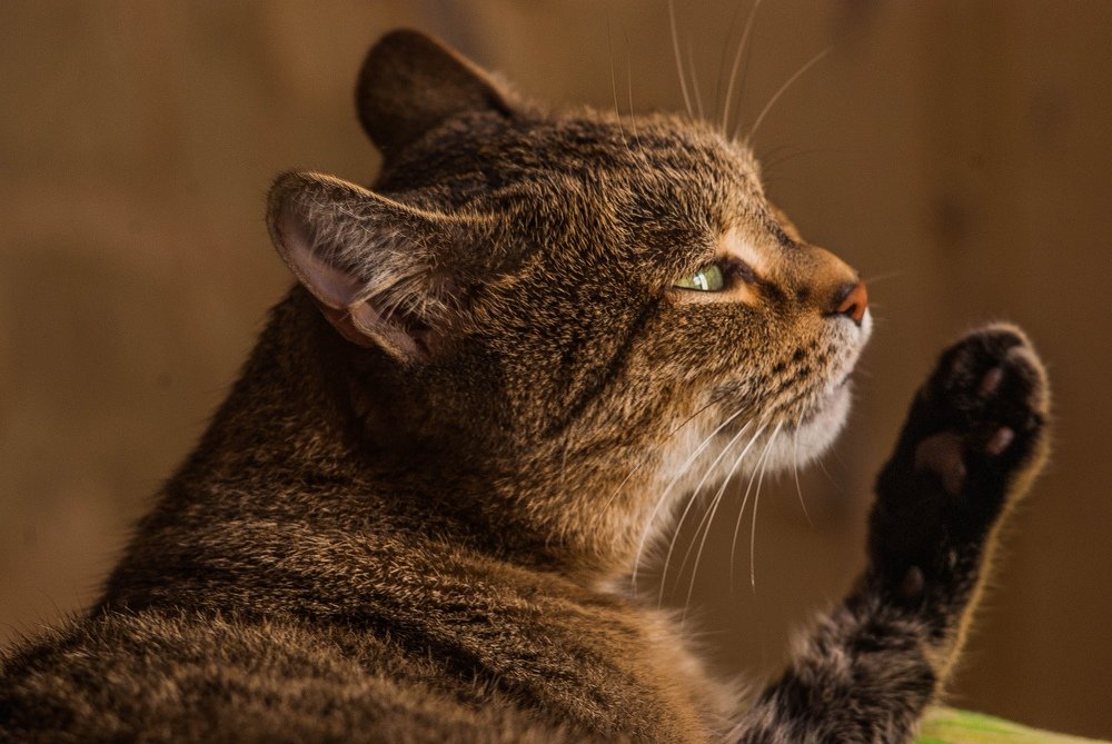 Photograph by Лариса Максименко