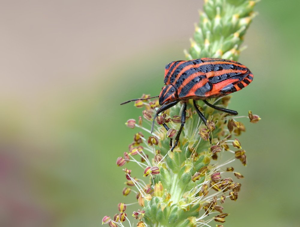 Photograph by Игорь Осипов