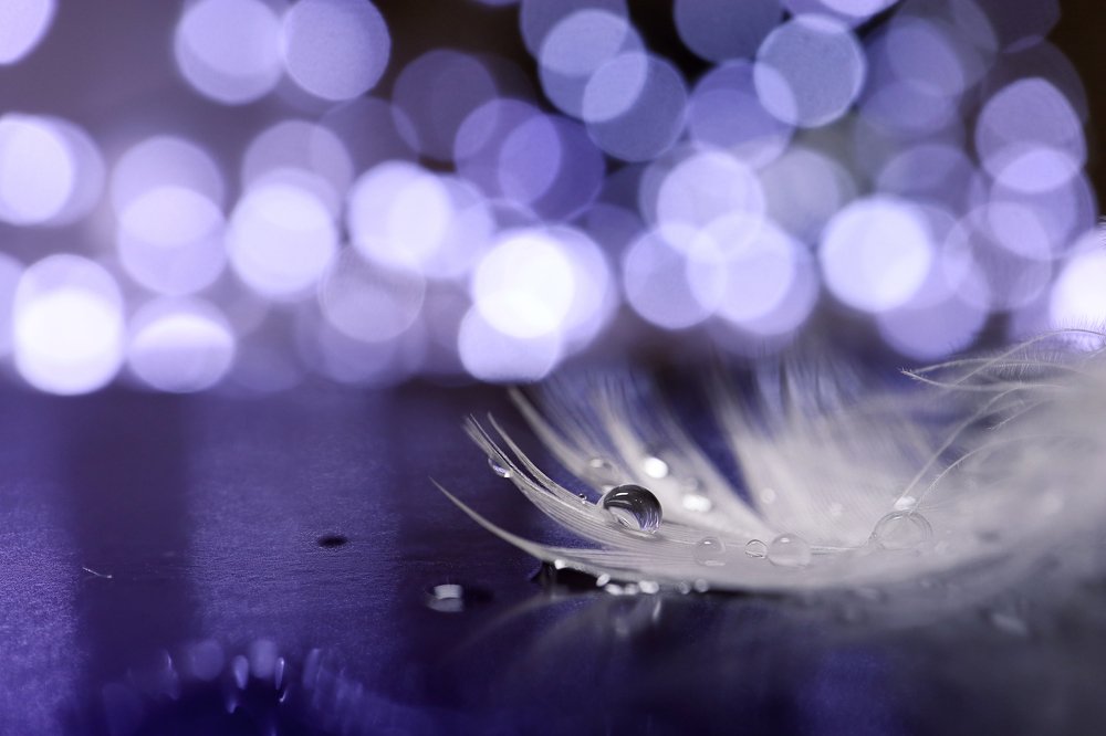 Photograph by Maryna Sydorova