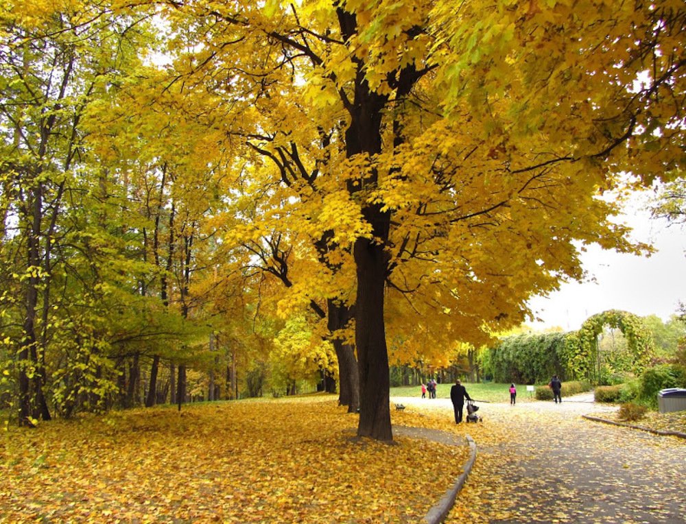 Photograph by Виктор