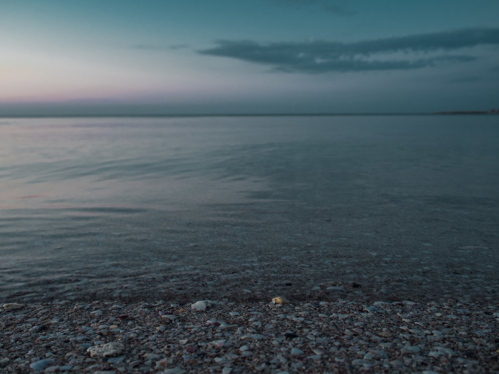 Photograph by Виталий Жгущий