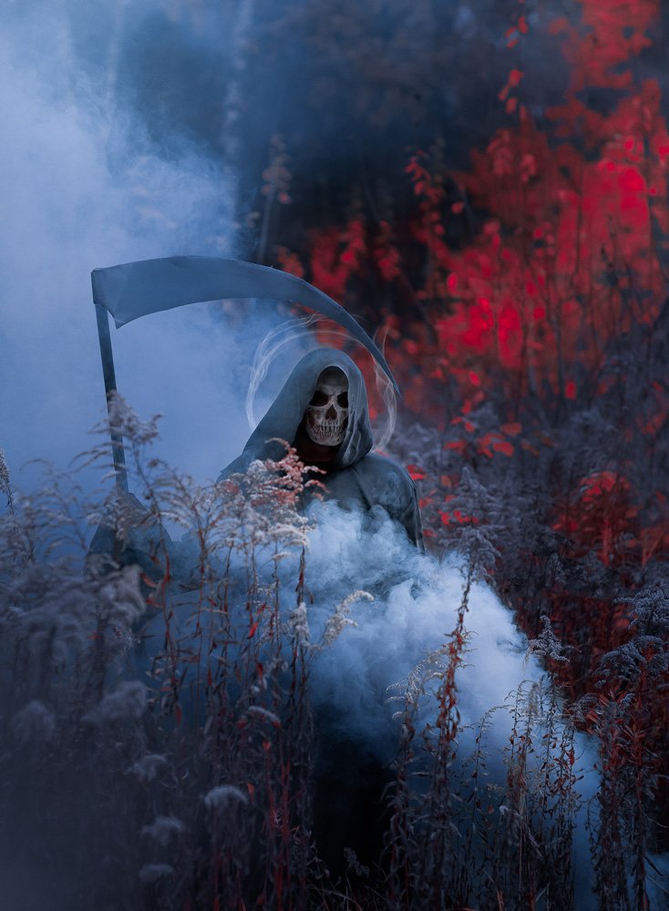 Фотография автора София Чацкая