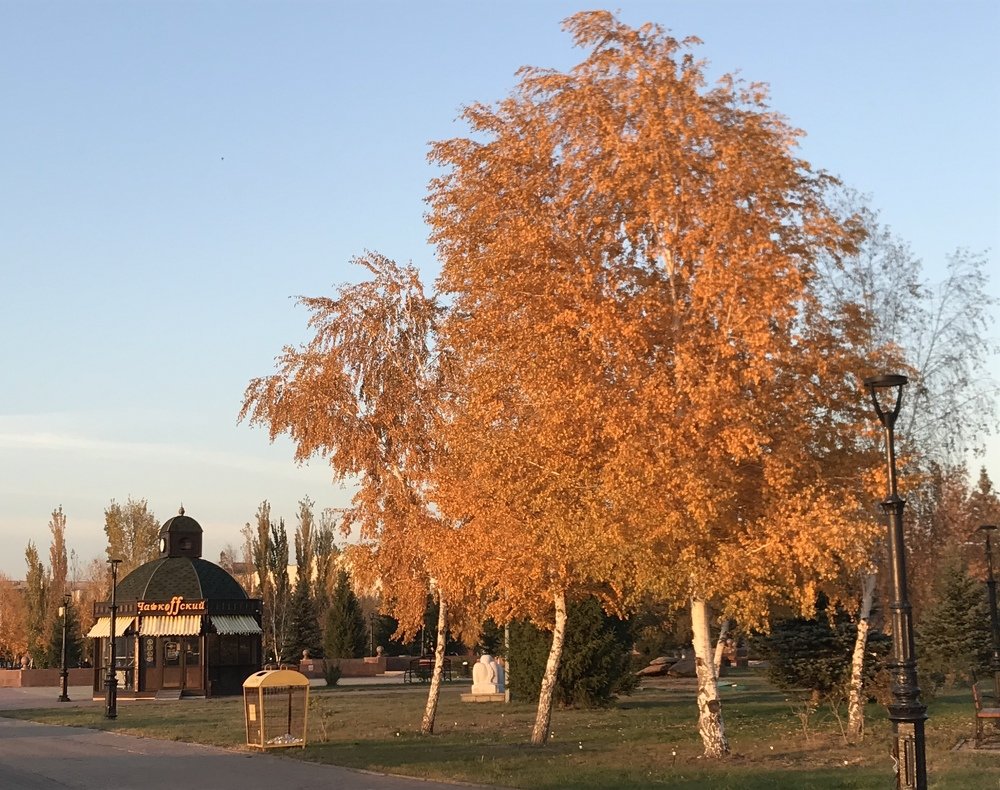 Photograph by Anar K. Amirova