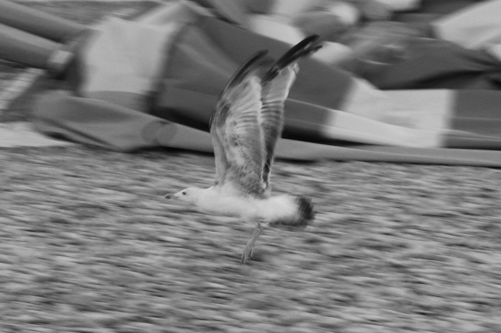 Photograph by Аленушка