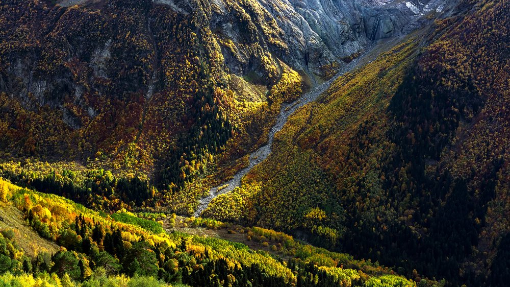 Photograph by Виталий Павлов