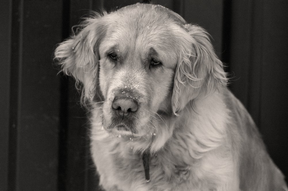 Photograph by Курлянцев Алексей