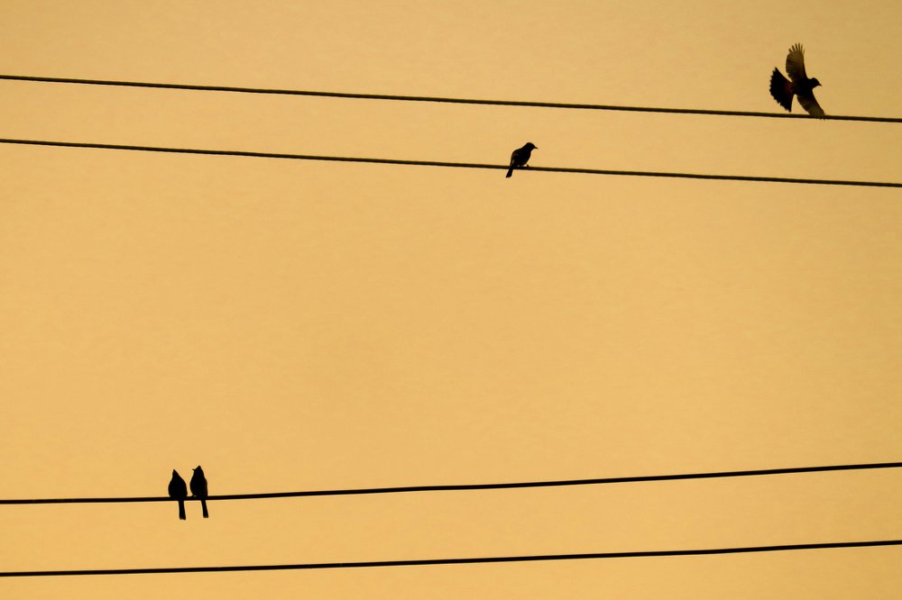 Photograph by MD. amirul Islam