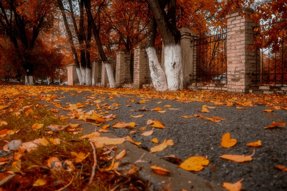 Photograph by Виталий Павлов