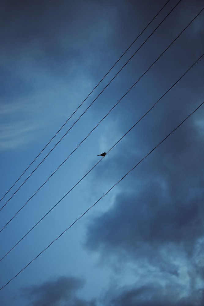 Photograph by Юлия Карпова