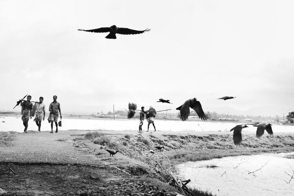 Photograph by MD. amirul Islam