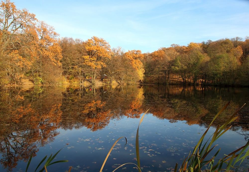 Photograph by Юрий Варюхин