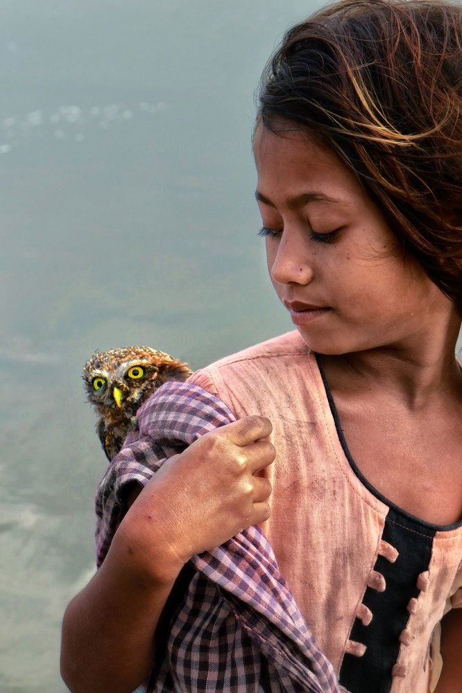 Photograph by MD. amirul Islam