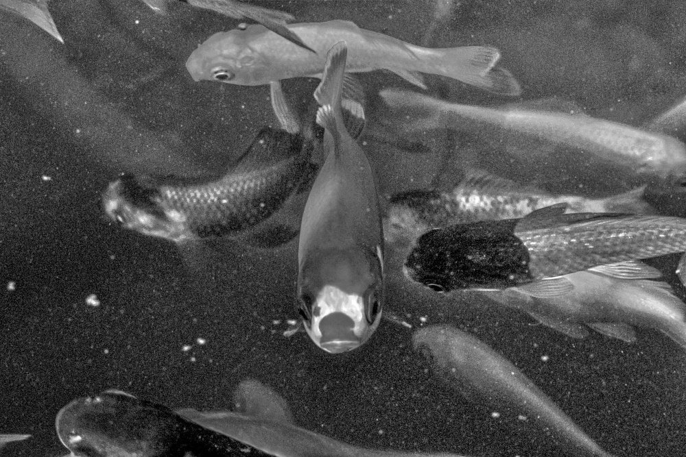 Photograph by SIMONE CIULLI