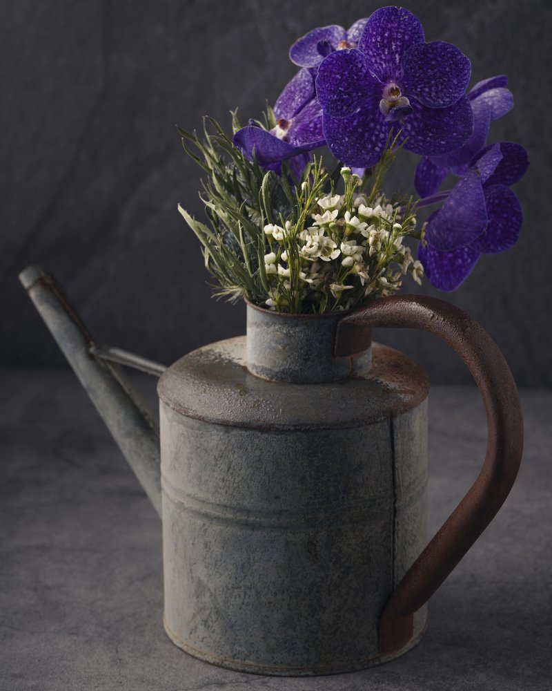 Photograph by MANSOUR ALOBAIDI