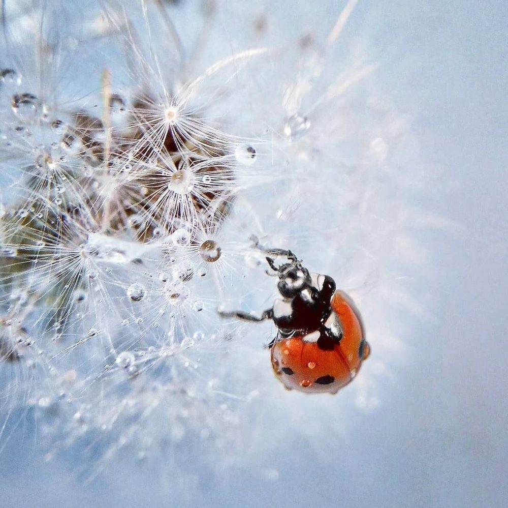 Photograph by Елена Ерина