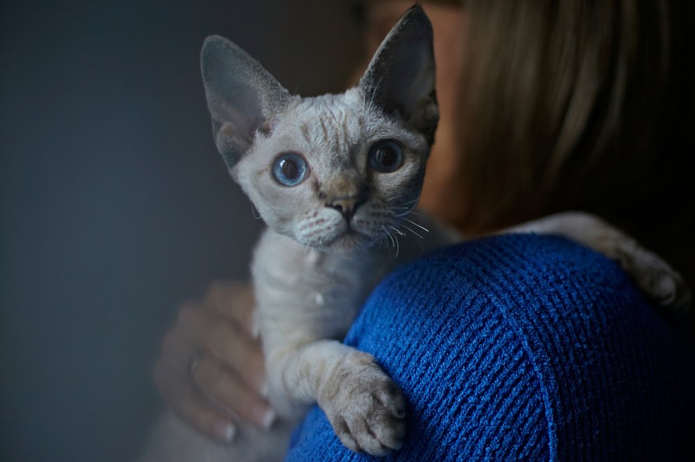 Photograph by Анастасия Запсельская