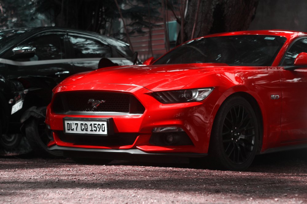 Photograph by Rijas Galleria