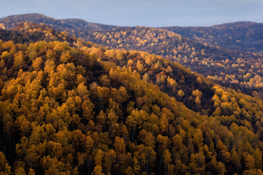 Фотография автора Олег Грачёв