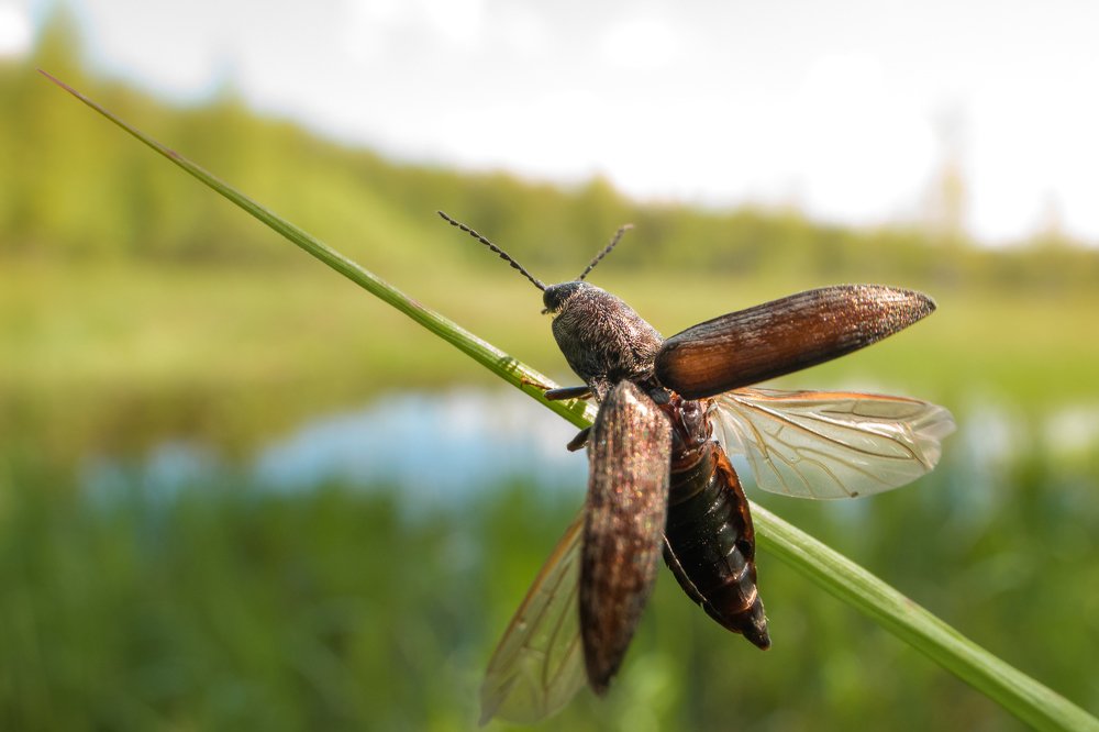 Photograph by Ксения Соварцева