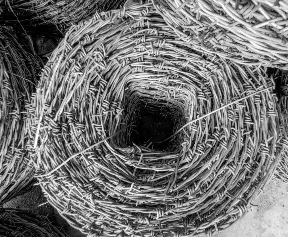 Photograph by Susmita Paul