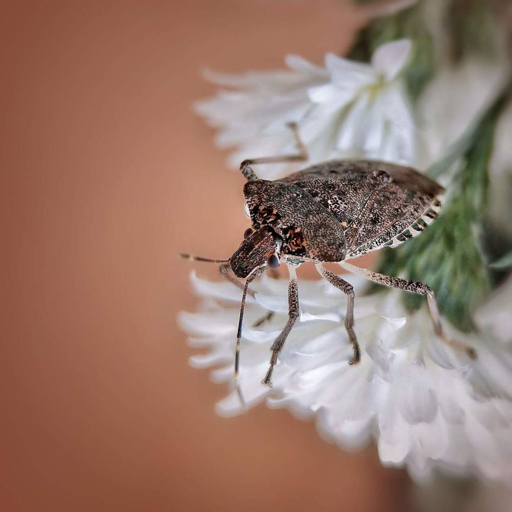 Photograph by Елена Ерина