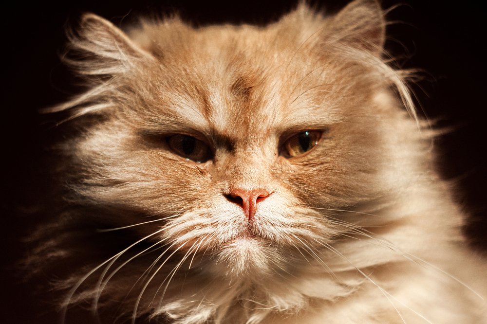 Photograph by Ольга Швили