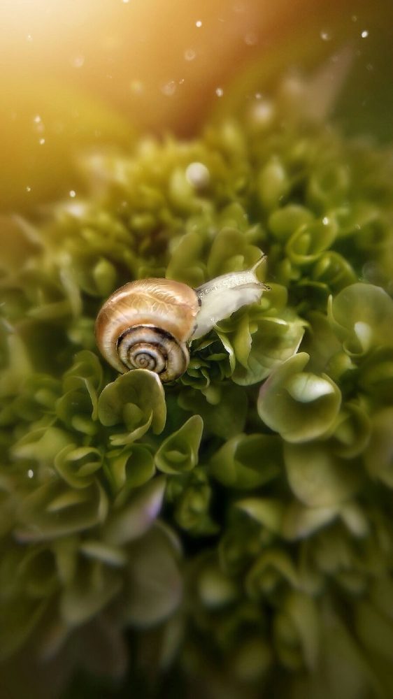 Photograph by Елена Ерина