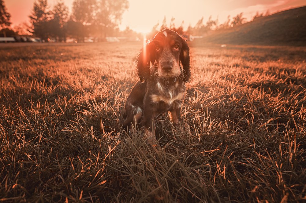 Photograph by Ольга Алейнер