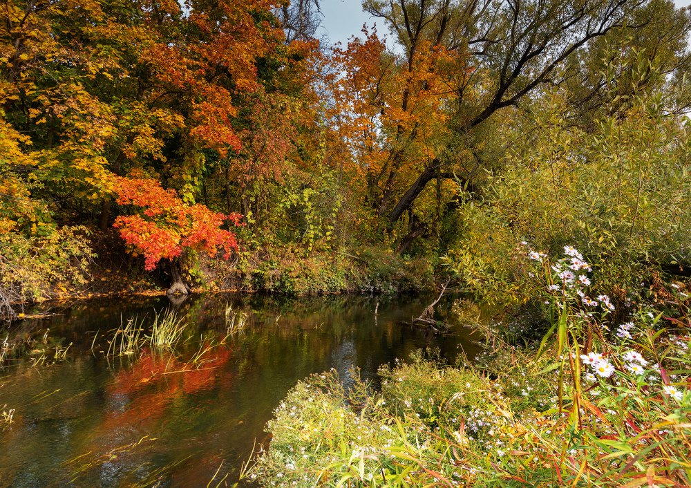 Photograph by Сергей Степанов