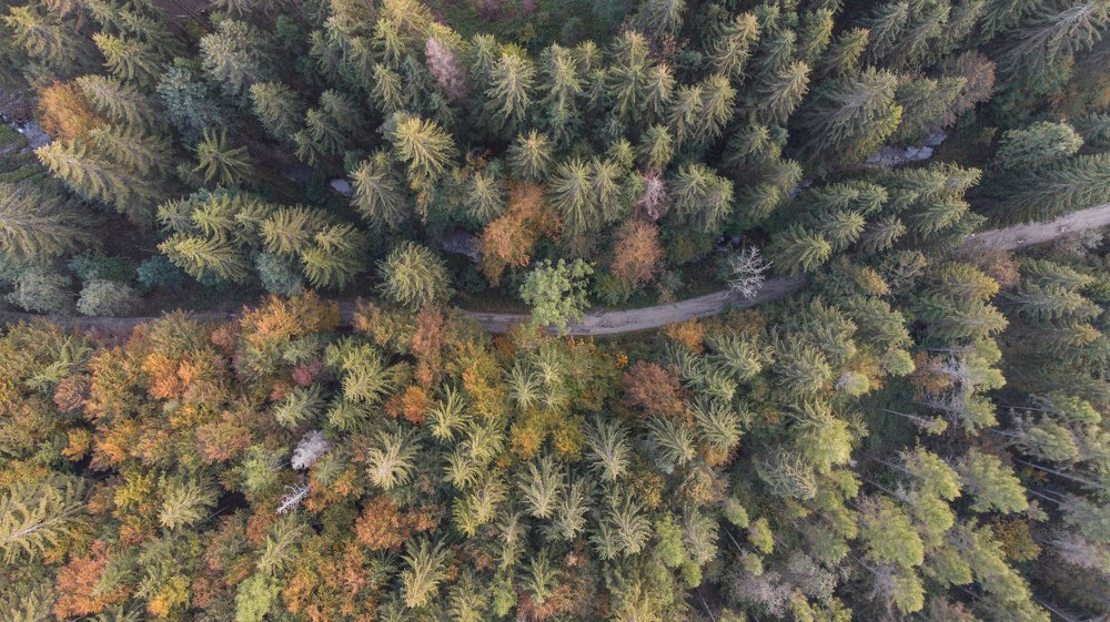 Photograph by Filip Micunda