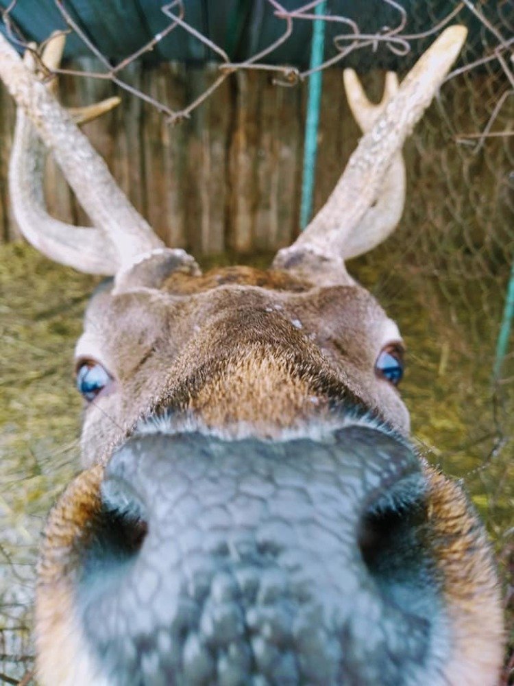 Photograph by Tatiana Koshkina