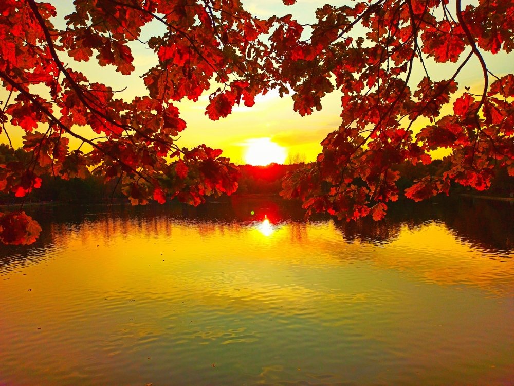 Photograph by Борис Каширин