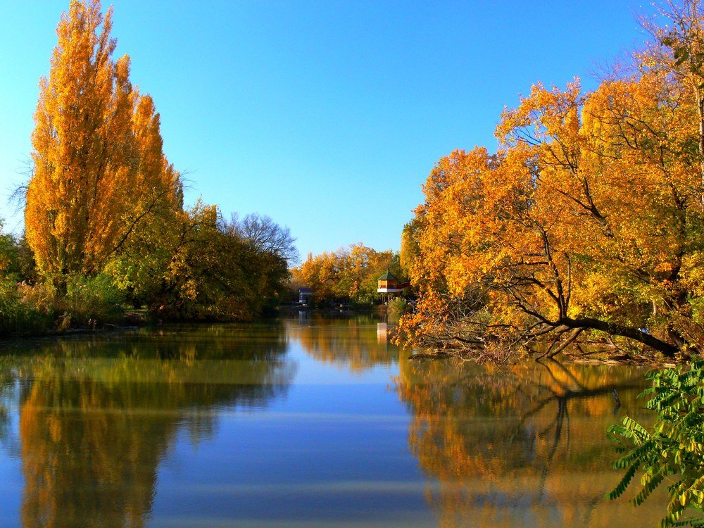 Золотая осень.