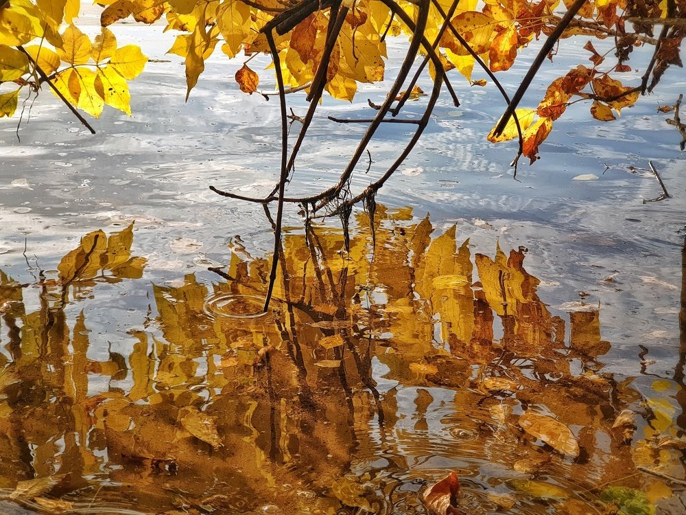 Photograph by Владимир Бакалов