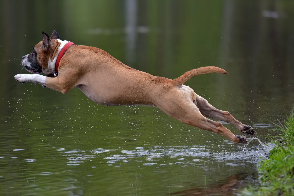 Photograph by Анна Кривицкая