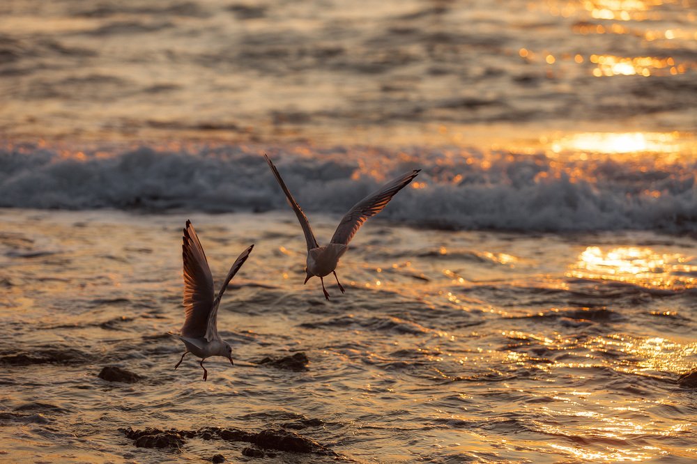 Photograph by Дмитрий Сдобин