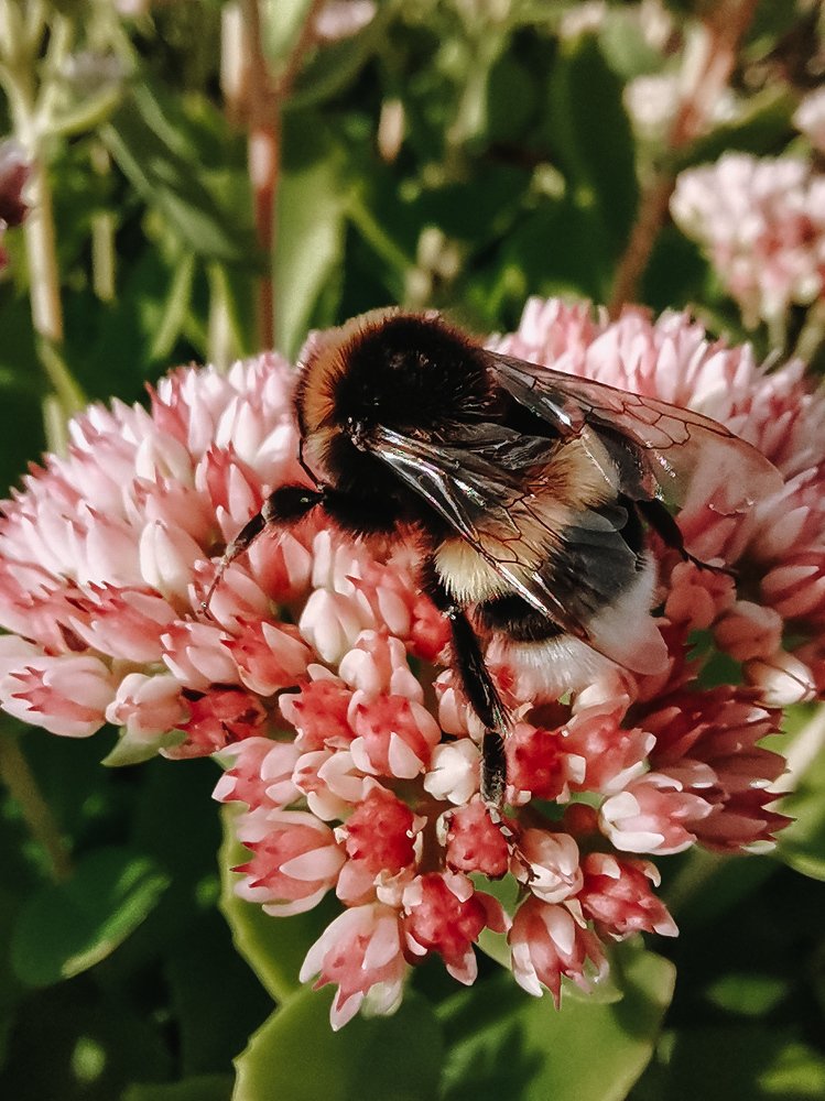 Photograph by Ангелина