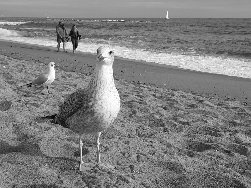 Photograph by Сергей Смирнов